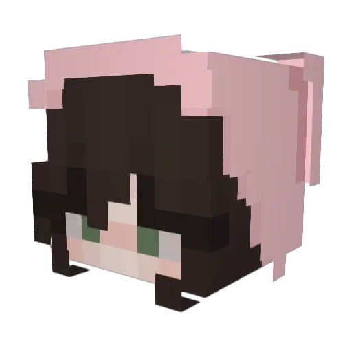 Hoshiake Minecraft avatar head, 3D render