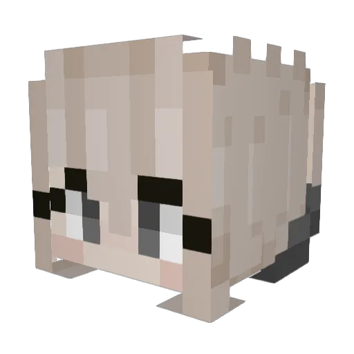 Hoshigo Minecraft avatar head, 3D render