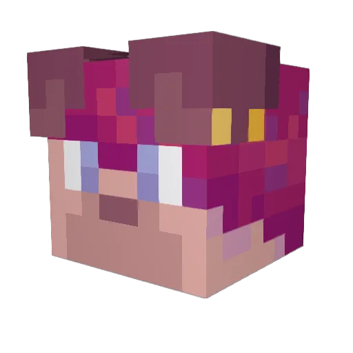 Hoshiisan Minecraft avatar head, 3D render