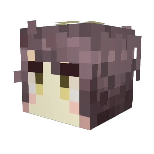 HoshikawaNanaka Minecraft avatar head, 3D render