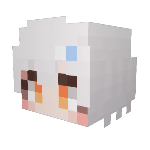 Hoshimi_kyu Minecraft avatar head, 3D render