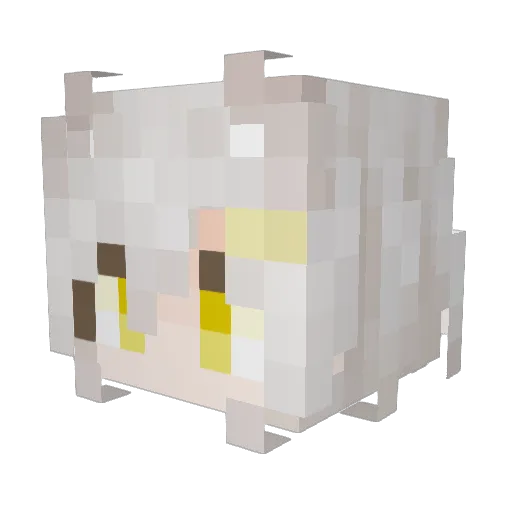 Hoshiro_ZY Minecraft avatar head, 3D render