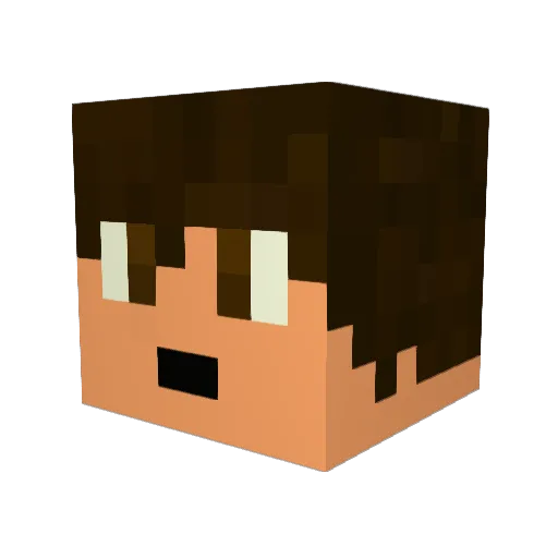 Hoskinsboi Minecraft avatar head, 3D render