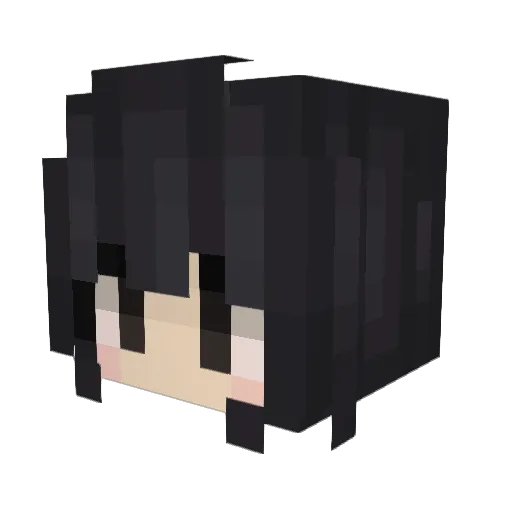Hosooooooooon Minecraft avatar head, 3D render