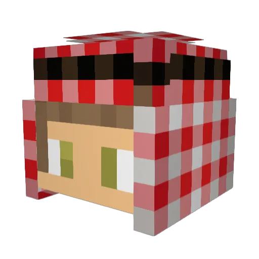 Hostile_Person Minecraft avatar head, 3D render