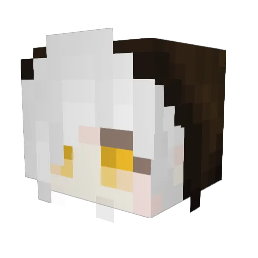 Hoswy_ Minecraft avatar head, 3D render