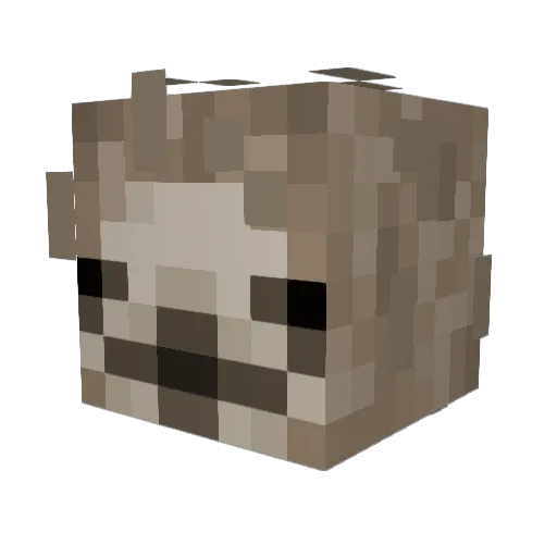 HotBobbyHill Minecraft avatar head, 3D render