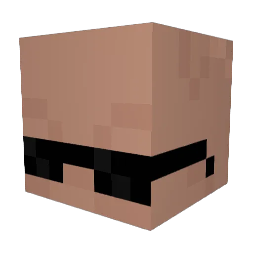 HotBurger09 Minecraft avatar head, 3D render