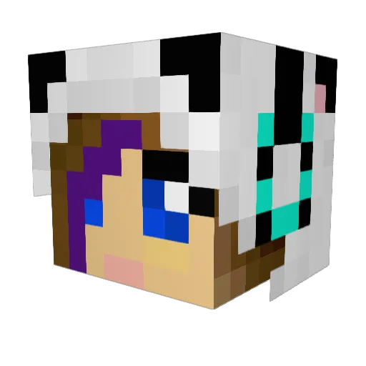 HotDog1258 Minecraft avatar head, 3D render
