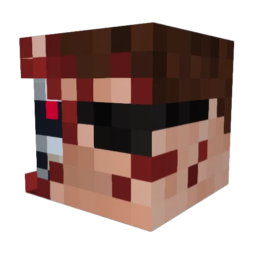 HotDoggWater Minecraft avatar head, 3D render