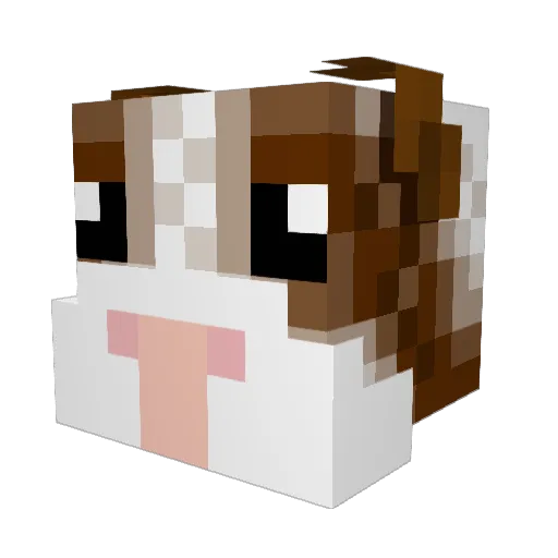 HotForBoys219 Minecraft avatar head, 3D render