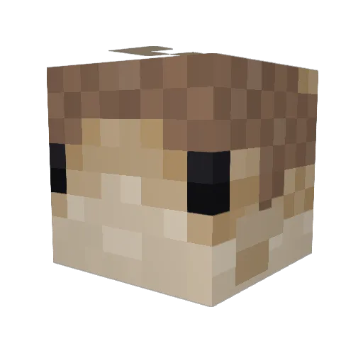 HotLocalWomen Minecraft avatar head, 3D render