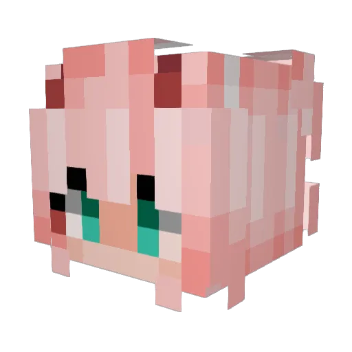 HotPotatoChip4 Minecraft avatar head, 3D render