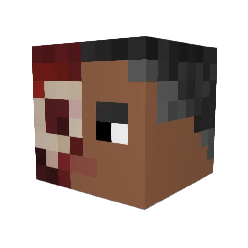 HotSauce9811 Minecraft avatar head, 3D render
