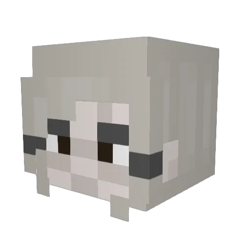 HotShot141 Minecraft avatar head, 3D render
