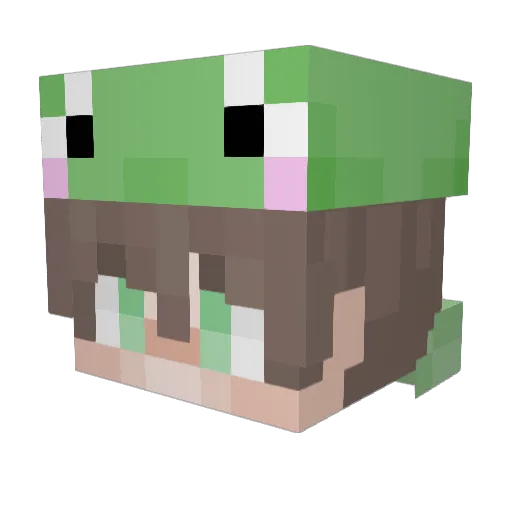 HotSwampWitch Minecraft avatar head, 3D render