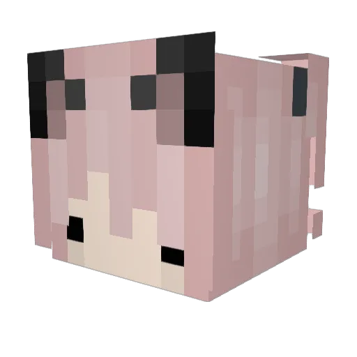HotTacoGG Minecraft avatar head, 3D render