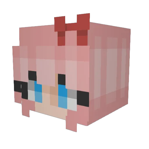 HotToastedBuns Minecraft avatar head, 3D render
