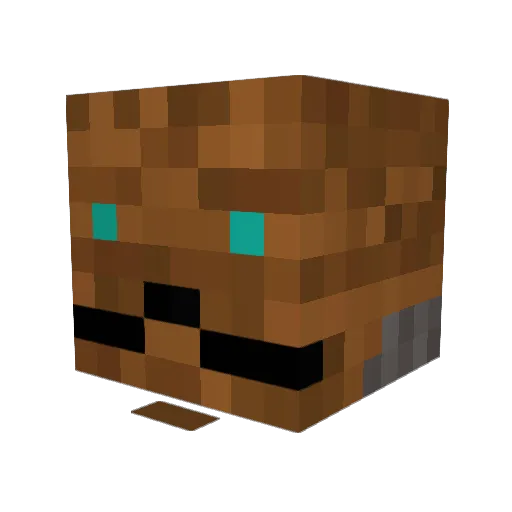 Hot_Bastian Minecraft avatar head, 3D render