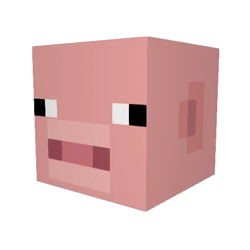 Hot_Dog_Gamer22 Minecraft avatar head, 3D render
