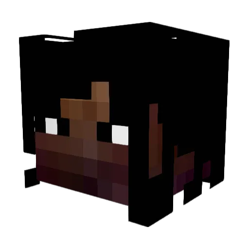 Hot_Moms_Enjoyer Minecraft avatar head, 3D render