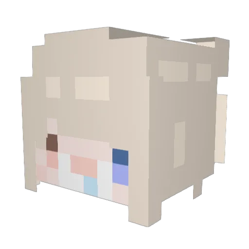 Hot_coco_OwO Minecraft avatar head, 3D render