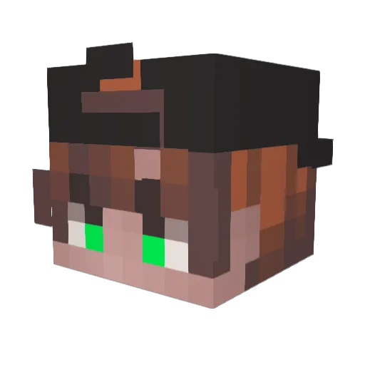 Hot_p14dInA Minecraft avatar head, 3D render
