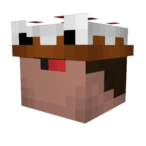 Hot_tea Minecraft avatar head, 3D render