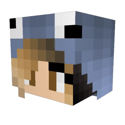 Hotafhoe Minecraft avatar head, 3D render
