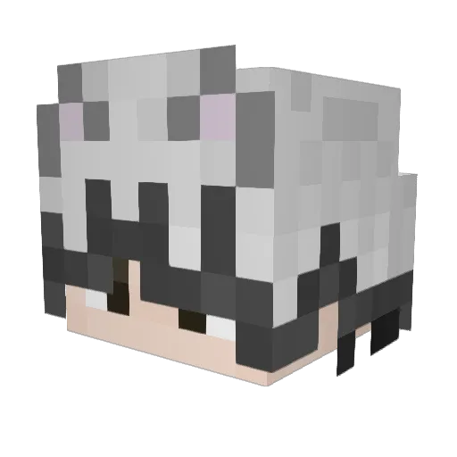 HotakaGaming Minecraft avatar head, 3D render