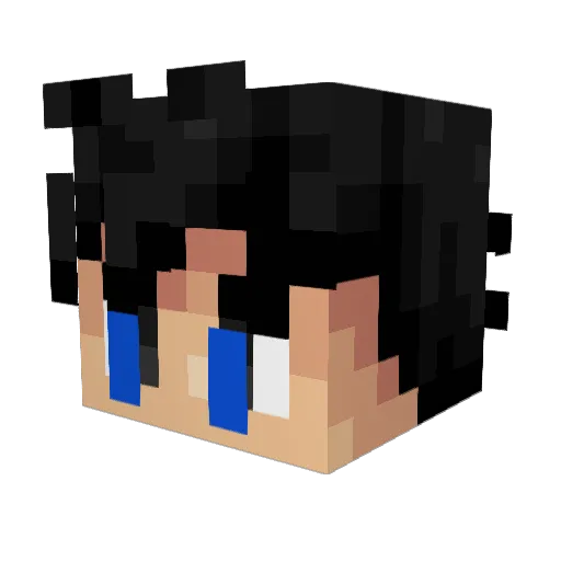 HotcakeWings Minecraft avatar head, 3D render