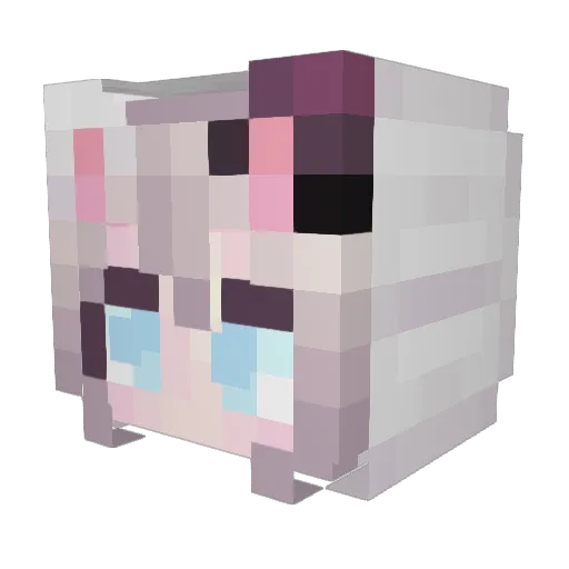 Hotcakes99 Minecraft avatar head, 3D render