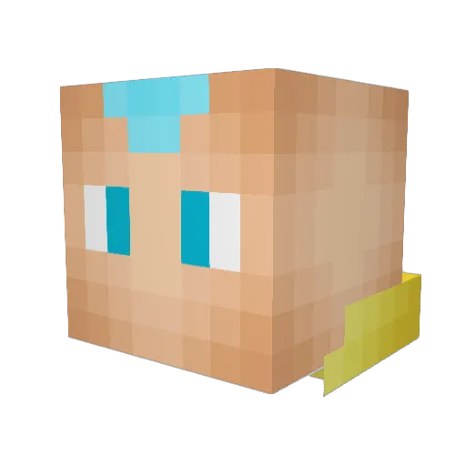 Hotdogfresh Minecraft avatar head, 3D render