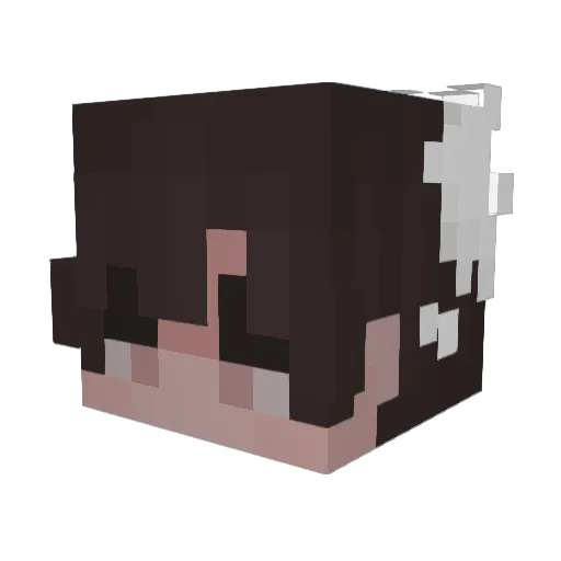 Hotireg Minecraft avatar head, 3D render