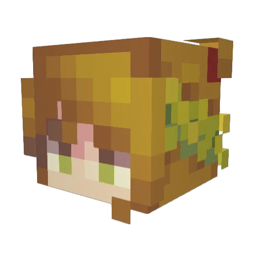 Hotpocketto Minecraft avatar head, 3D render