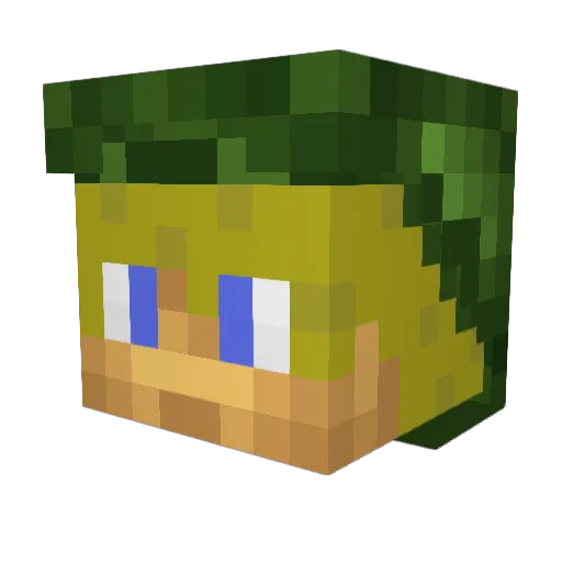 Hotpunk65 Minecraft avatar head, 3D render