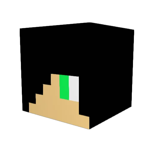Hotshotmusic Minecraft avatar head, 3D render