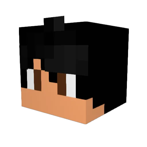 Hotspur111 Minecraft avatar head, 3D render