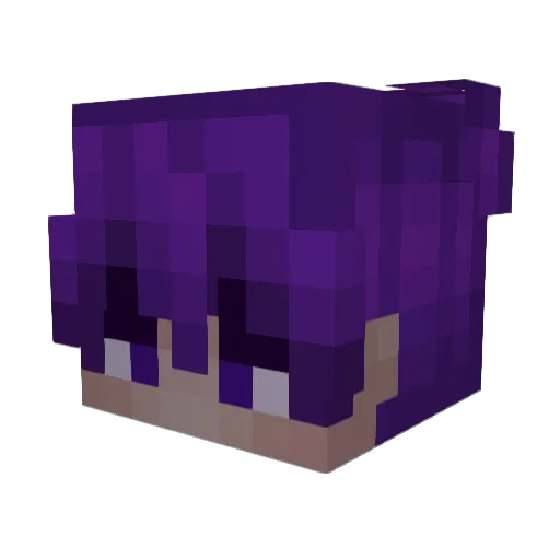 Hotzeflots Minecraft avatar head, 3D render