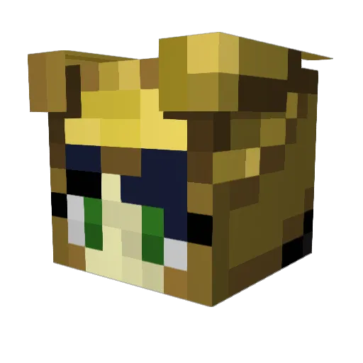 Houndooma Minecraft avatar head, 3D render