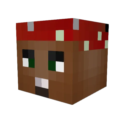 Hourani95 Minecraft avatar head, 3D render