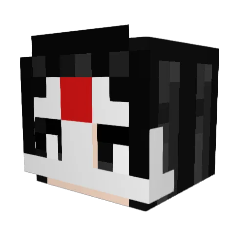 HouseHouseHause1 Minecraft avatar head, 3D render