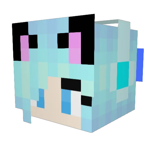 House_Cat Minecraft avatar head, 3D render