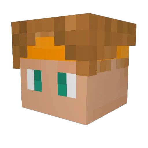 Houstonian Minecraft avatar head, 3D render