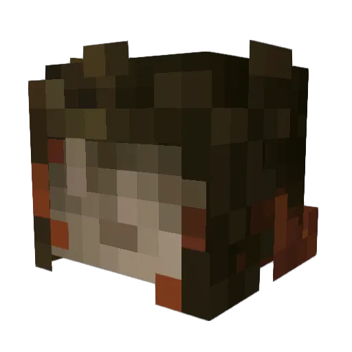 Houtaruo Minecraft avatar head, 3D render