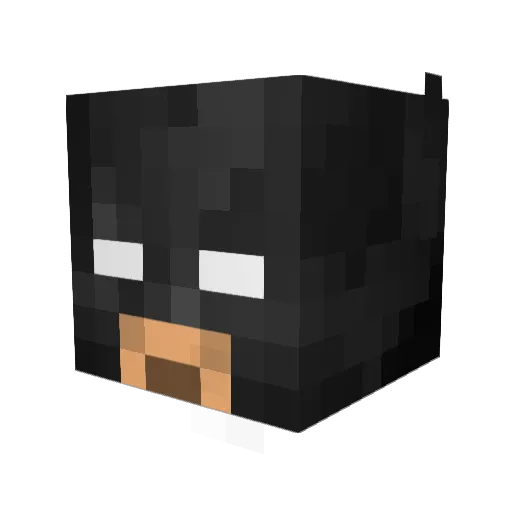 Hova505 Minecraft avatar head, 3D render