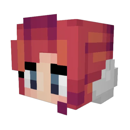 Hovendroven Minecraft avatar head, 3D render