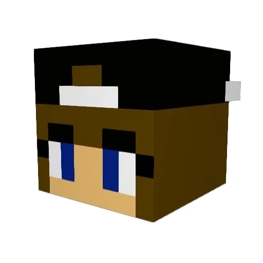 Hoviggg Minecraft avatar head, 3D render