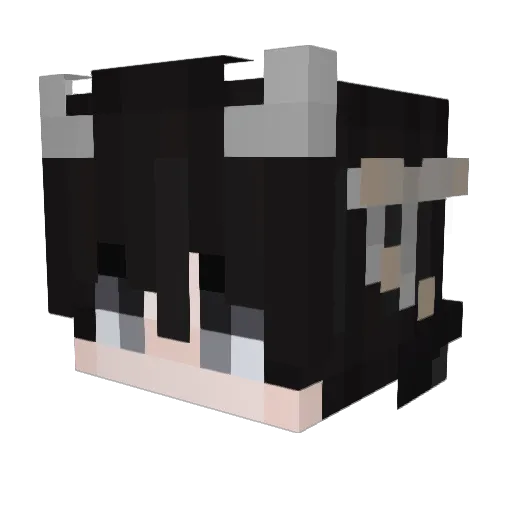 Minecraft-Avatar von HovnikX: Kopf als 3D-Render