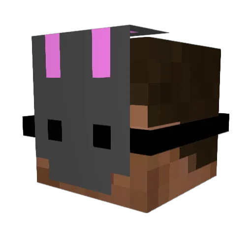How2Display Minecraft avatar head, 3D render